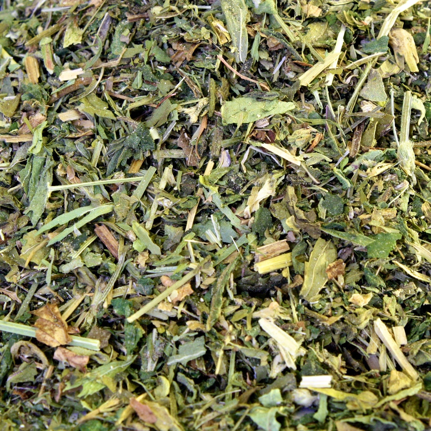 Restorative Herbal Tea Blend: Loose-Leaf, Organic & Wildcrafted, Healing and Medicinal, 4 oz. Tin. New Look, Same Great Formula!
