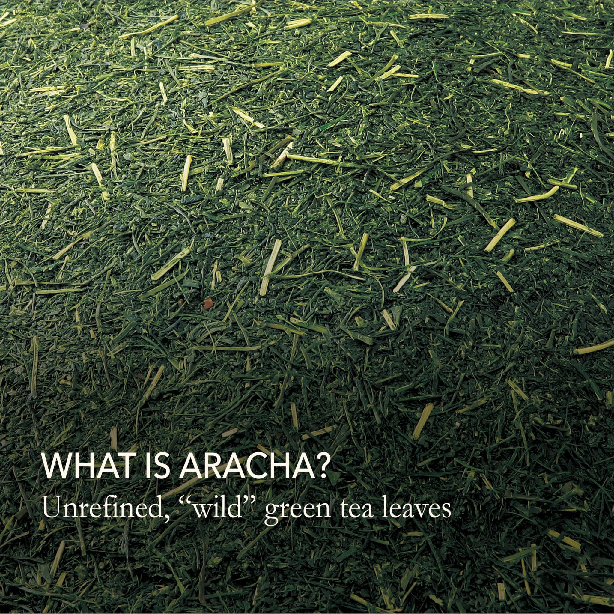 Japanese Green Tea Co. Gokuzyo Aracha (100g) - Japanese Green Tea Loose Leaf - High-Grade, Deep Steamed Unrefined Loose Leaf Brew - Crude Fukamushicha