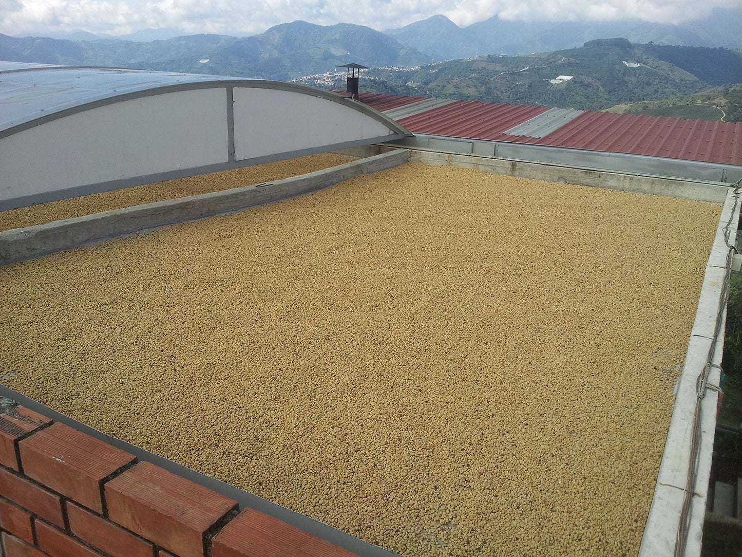 Raw Unroasted Green Coffee Beans - Special micro Farm La Compañia (5 Lb)