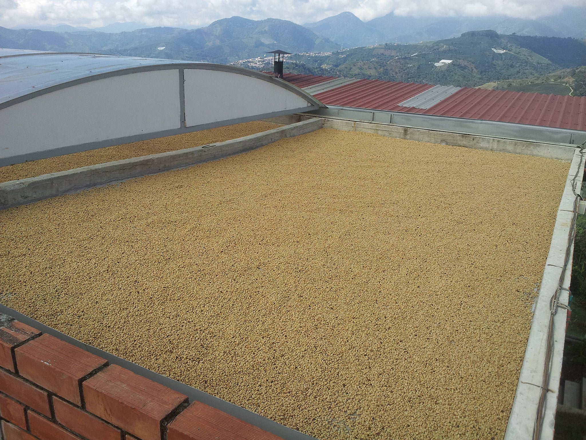 Green Coffee Beans Single Origin Colombian Unroasted Coffee Beans Farm Los Pirineos (10 Lb)