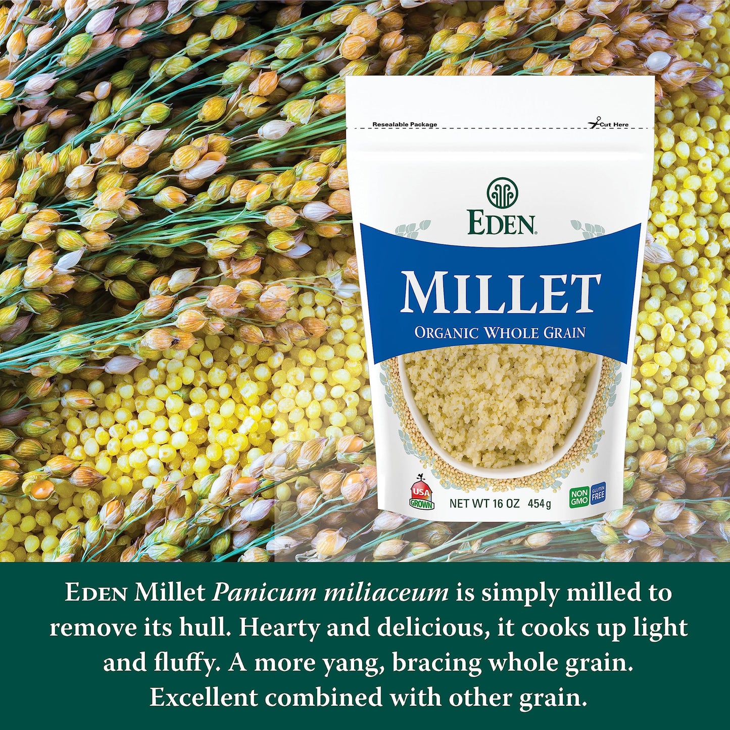 Eden Organic Millet, 16 oz