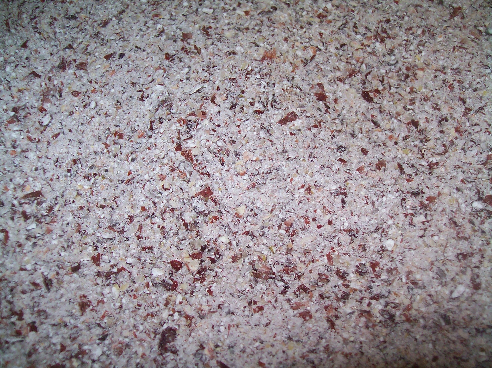 Organic Bloody Butcher (Red) Cornmeal, Fresh Stone Ground, Farmer Direct, non-GMO 1 lb.