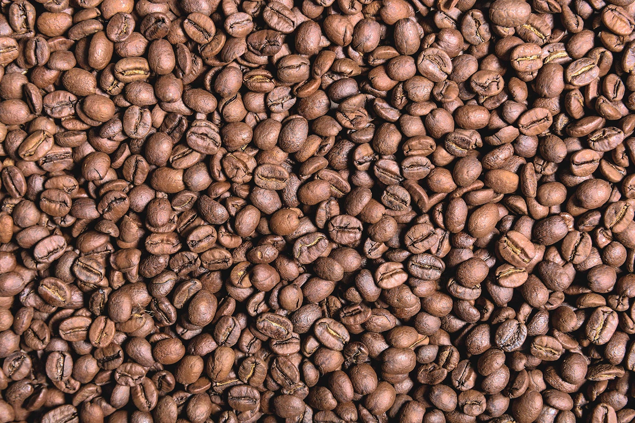 Medium Roast Whole Beans Guatemala Coffee, Specialty Grade, Single Estate- Farm Direct Trade, Shaded Grown at Kafetos Family Owned Farm 16 oz
