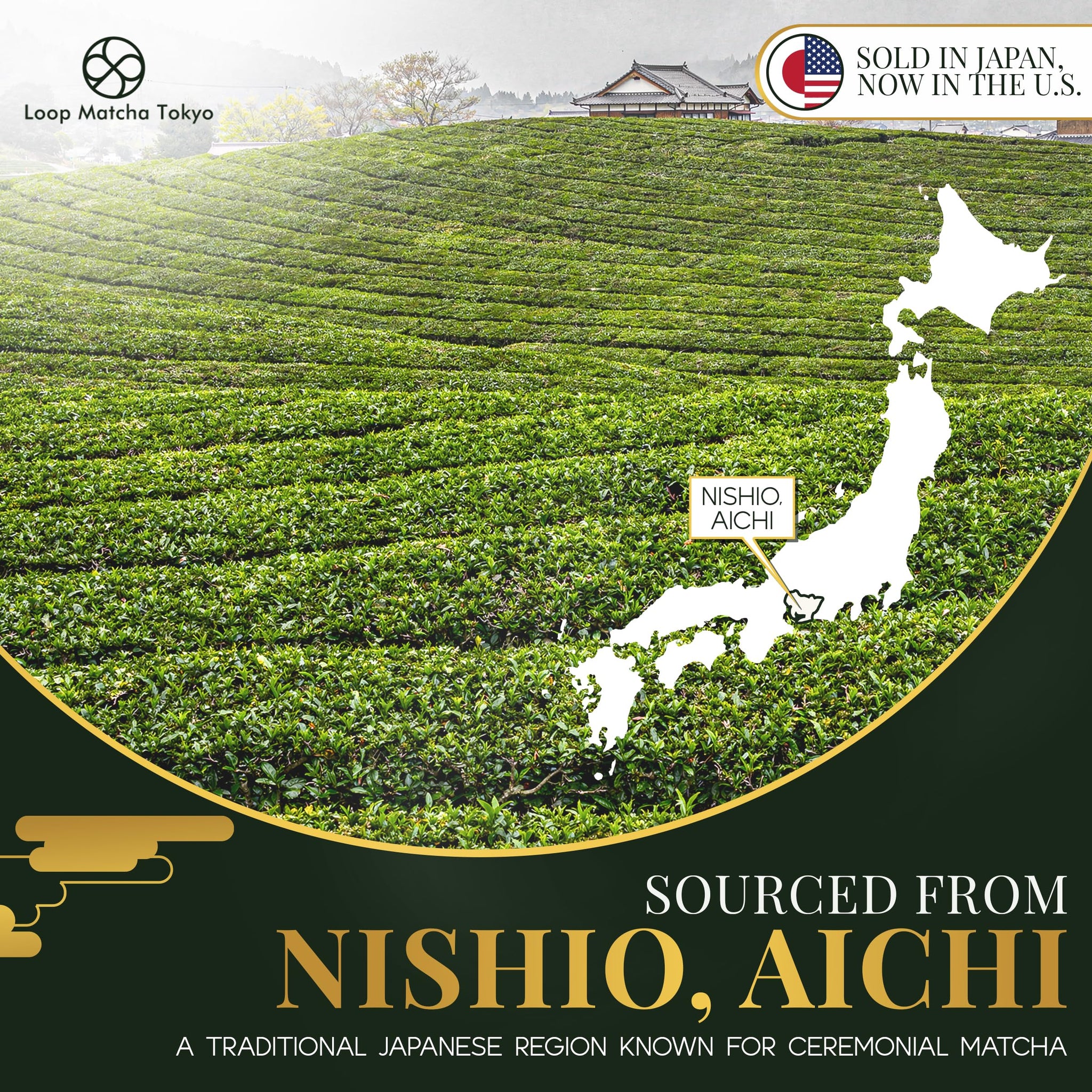 Loop Matcha Tokyo Ginza Edition - Pure Japanese Ceremonial Matcha Powder 30g - Stone Ground 5-Cultivar - Blend - Shade Grown - Emerald Green