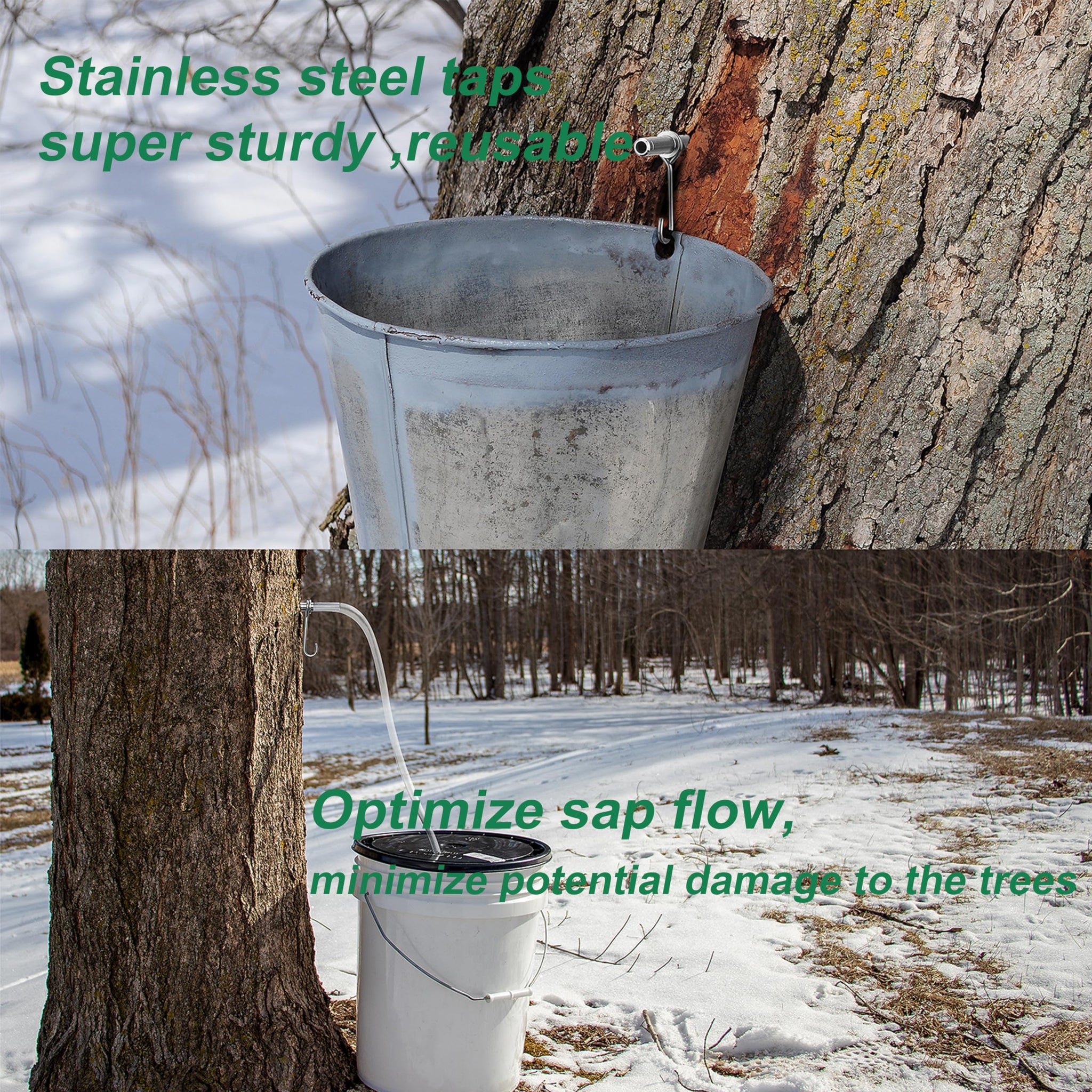 ARGCONNER Maple Syrup Tapping Kit - (6) Stainless Steel Spiles and Hooks, (6) 3-ft Food Grade Tubing, (6) 1-Quart Syrup Pre-Filters, (2) Spile