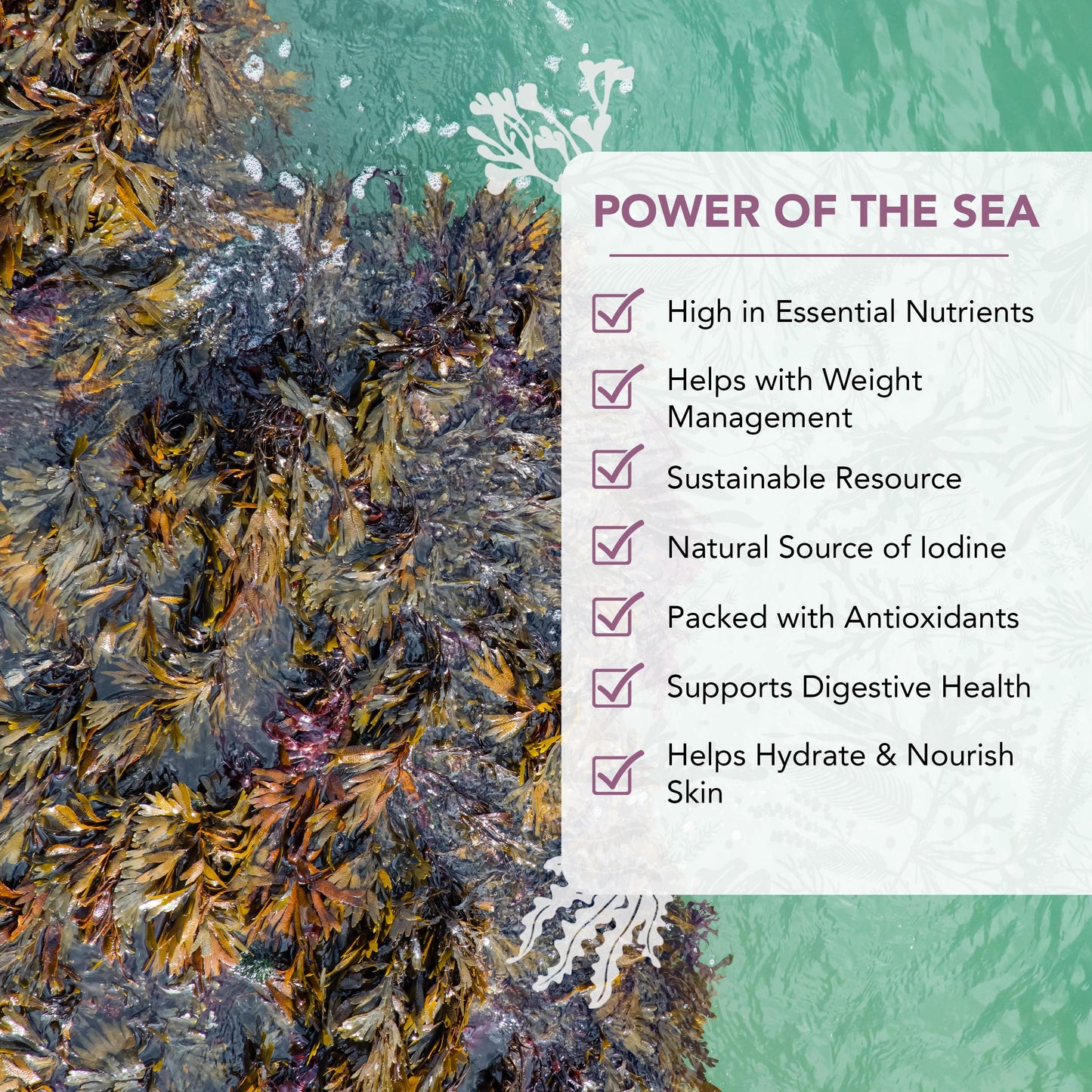 VITAMINSEA Triple Blend Dried Seaweed Flakes | Wild North Atlantic Dulse, Kelp & Sea Lettuce for Seasoning, Soups & Salads | Rich in Vitamins