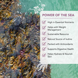 VITAMINSEA Triple Blend Dried Seaweed Flakes | Wild North Atlantic Dulse, Kelp & Sea Lettuce for Seasoning, Soups & Salads | Rich in Vitamins