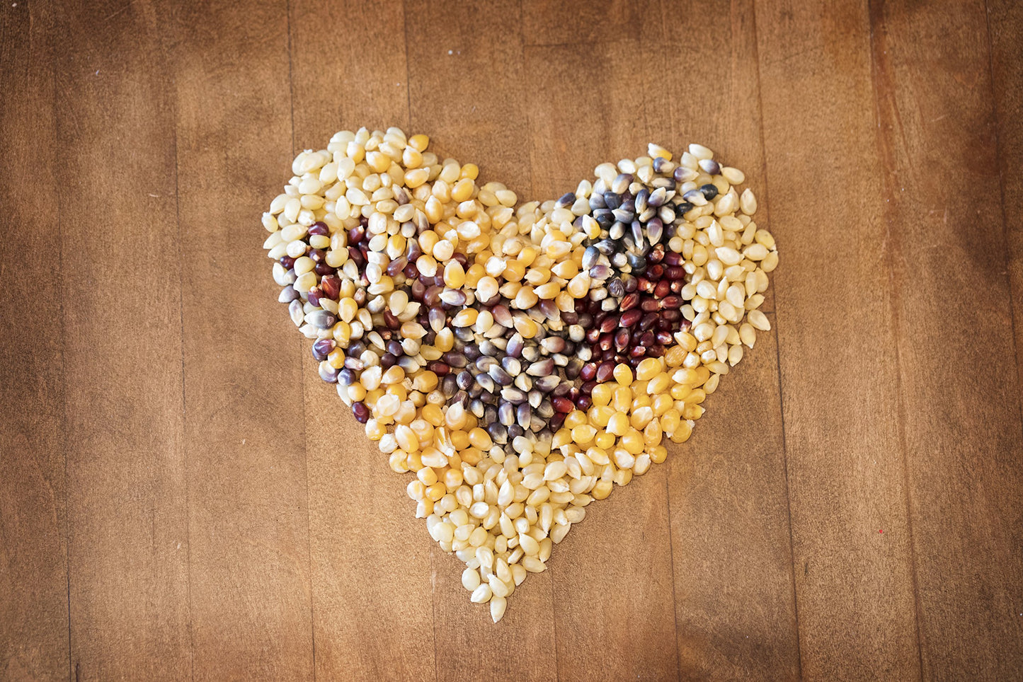 Amish Country Popcorn | 3-1 lb Bags | Purple, Red and Blue Popcorn Kernels | Old Fashioned, Non-GMO and Gluten Free (3-1 lb Bags)