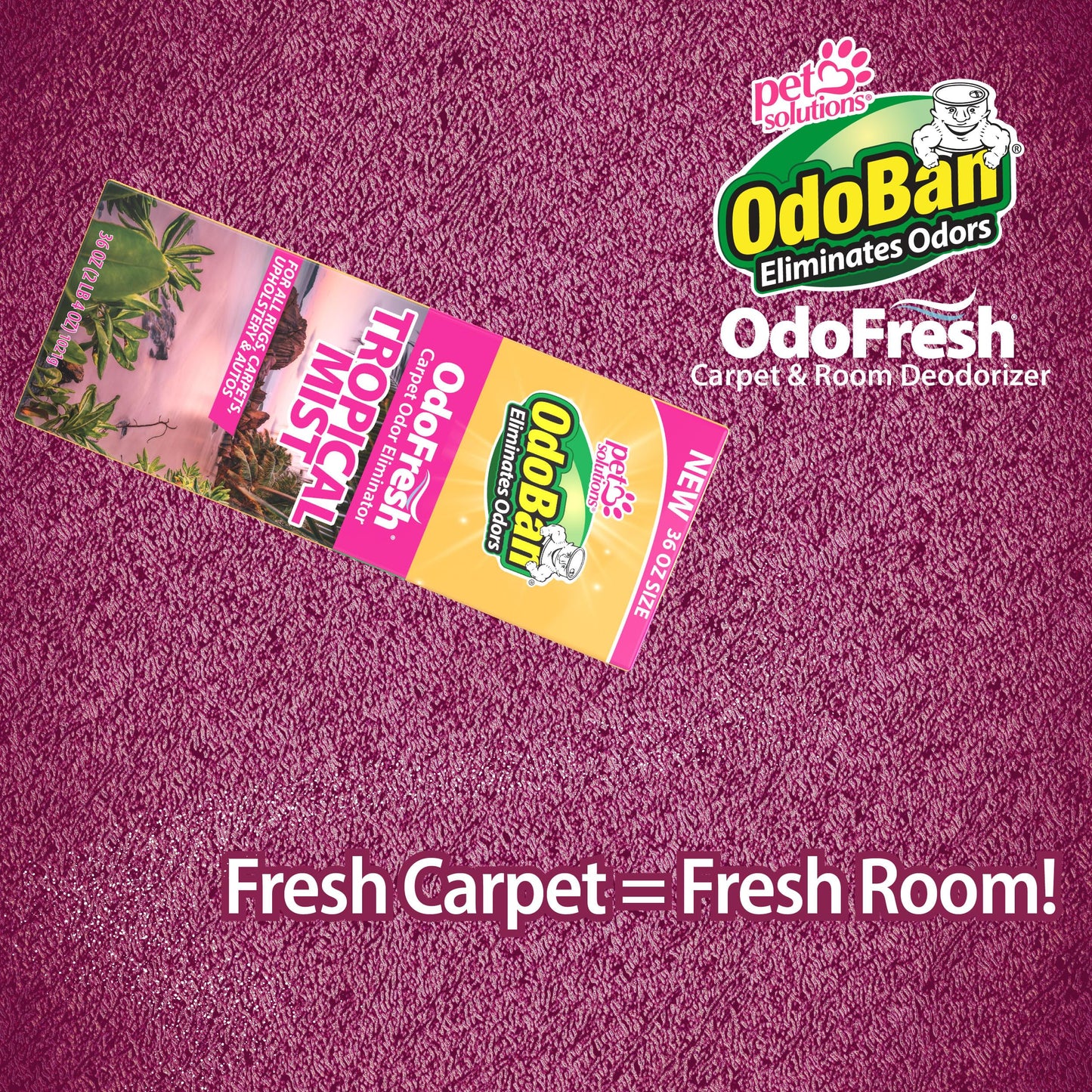 OdoBan OdoFresh Carpet and Room Deodorizer Powder for Home Smells and Odors Including Smoke, Pet Urine, Dogs, and Cat Litter, Made in the USA