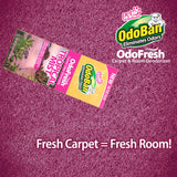 OdoBan OdoFresh Carpet and Room Deodorizer Powder for Home Smells and Odors Including Smoke, Pet Urine, Dogs, and Cat Litter, Made in the USA