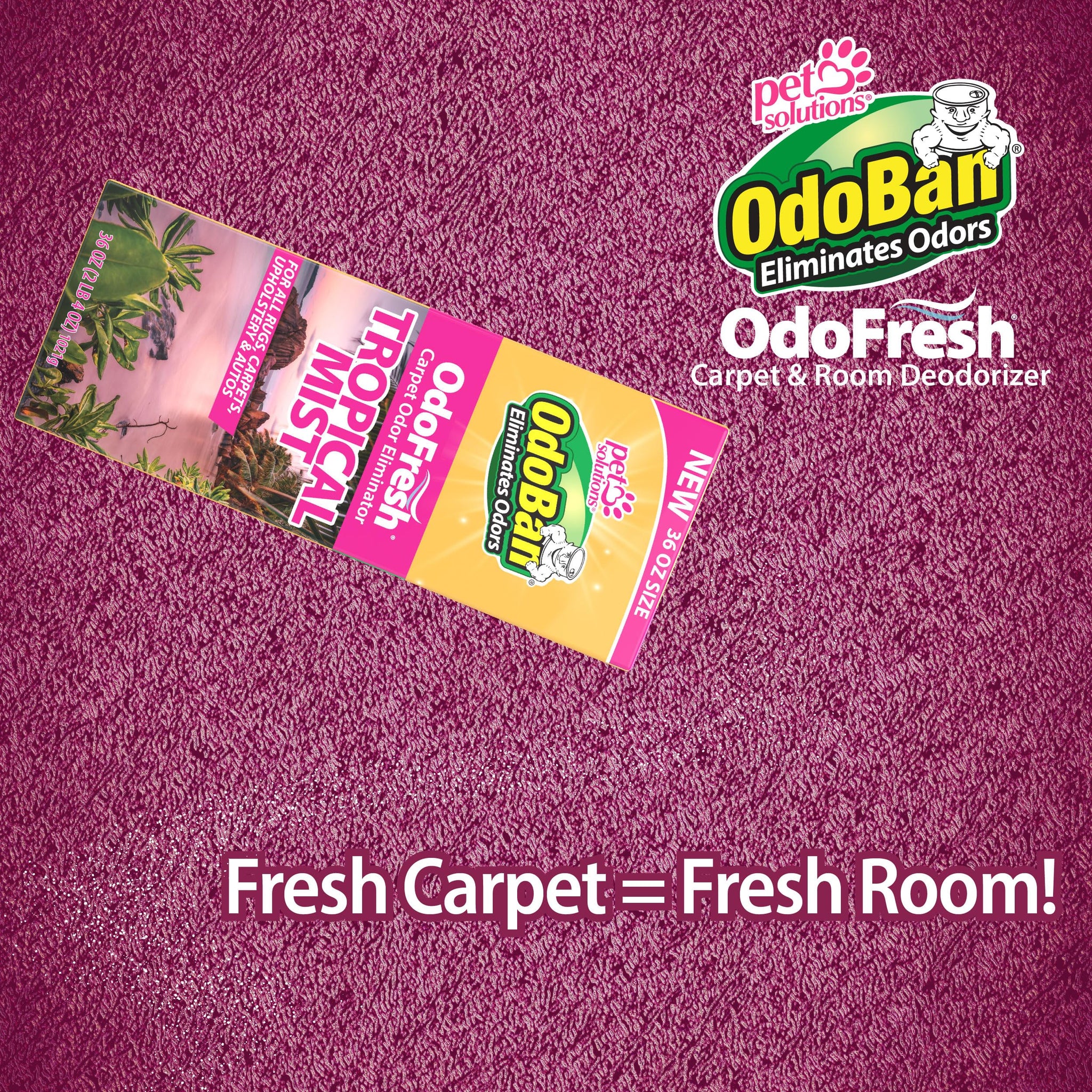 OdoBan OdoFresh Carpet and Room Deodorizer Powder for Home Smells and Odors Including Smoke, Pet Urine, Dogs, and Cat Litter, Made in the USA